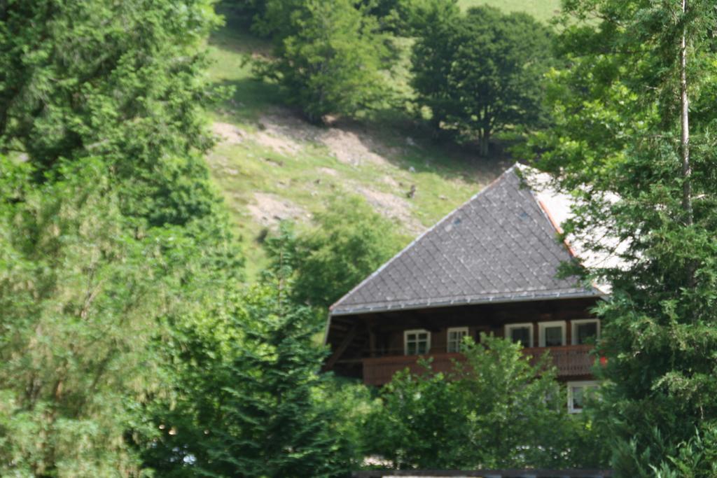 Hotel Gasthaus Hirschen Im Hochschwarzwald Todtnau Nahe Feldberg מראה חיצוני תמונה