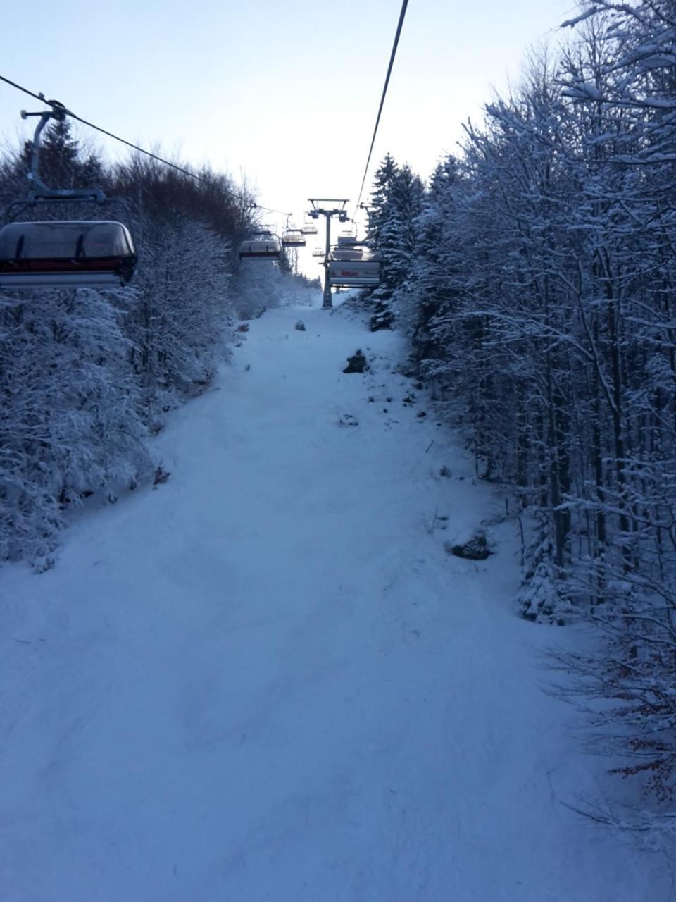 Hotel Gasthaus Hirschen Im Hochschwarzwald Todtnau Nahe Feldberg מראה חיצוני תמונה