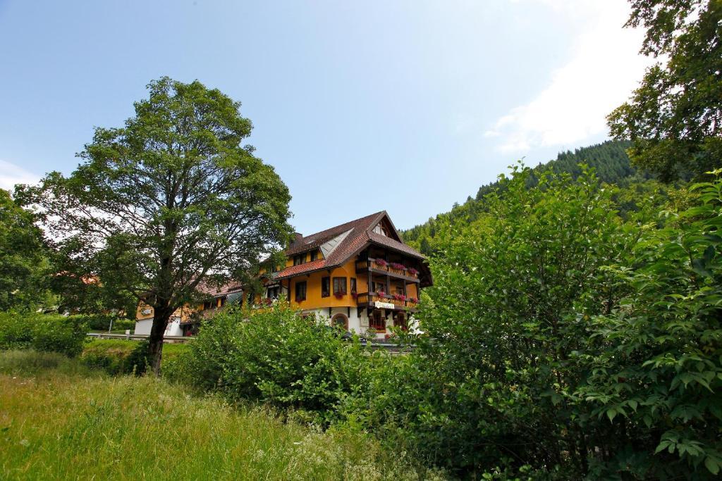 Hotel Gasthaus Hirschen Im Hochschwarzwald Todtnau Nahe Feldberg מראה חיצוני תמונה